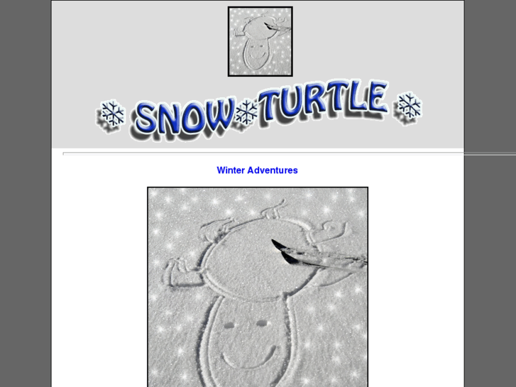 www.snow-turtle.com