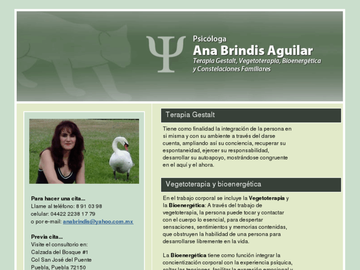 www.anabrindis.com