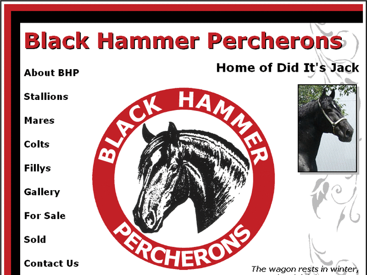 www.blackhammerpercherons.com