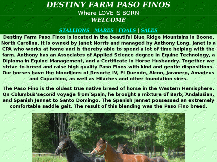 www.destinypasos.com