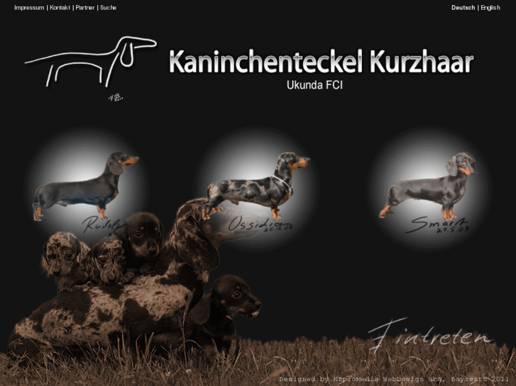 www.kaninchenteckel-kurzhaar.com