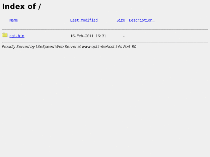 www.optimizehost.info