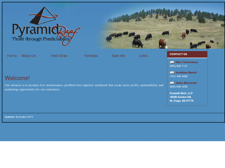 www.pyramidbeef.com