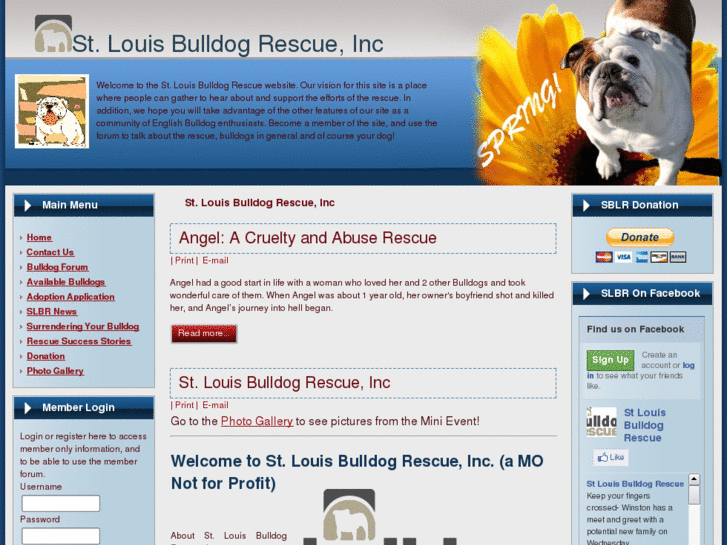 www.stlbulldogrescue.org