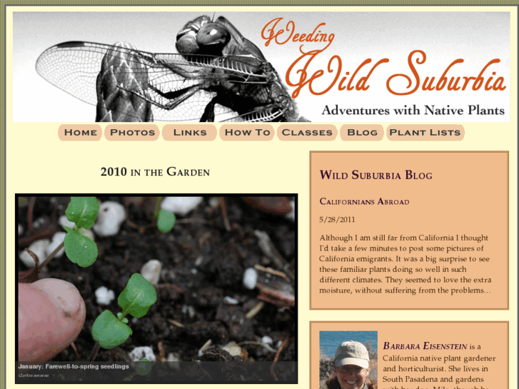 www.weedingwildsuburbia.com