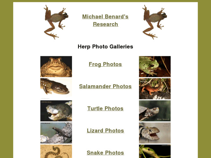 www.mister-toad.com