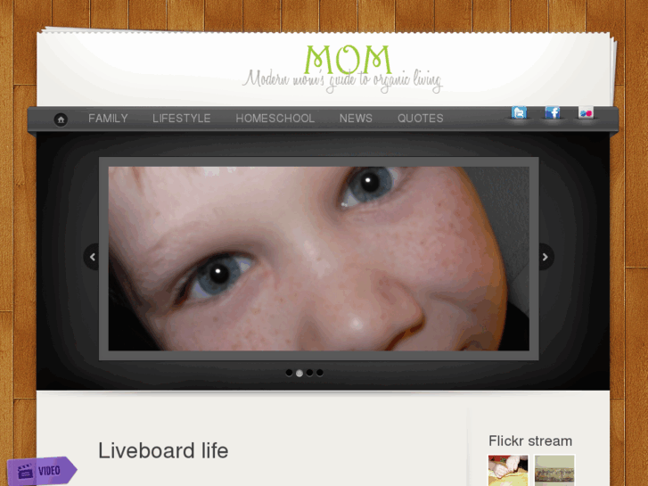 www.modernorganicmama.com