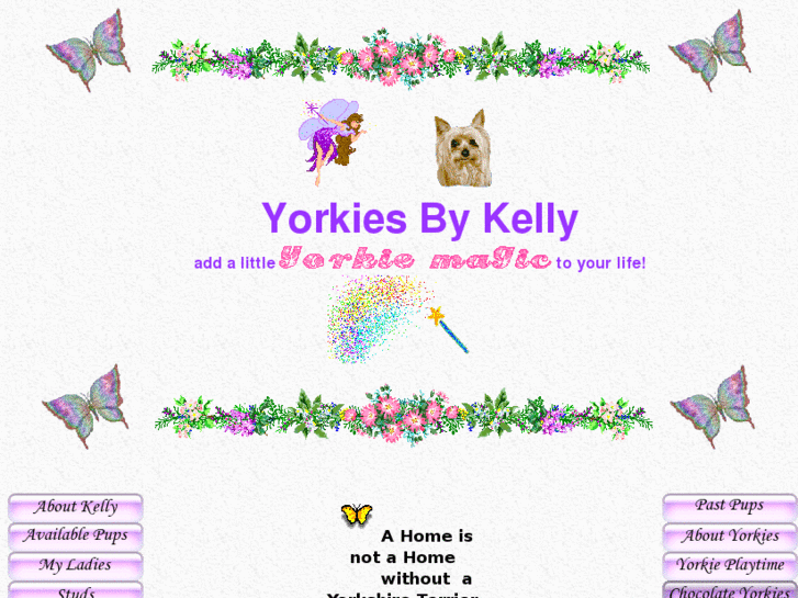 www.yorkiesbykelly.com