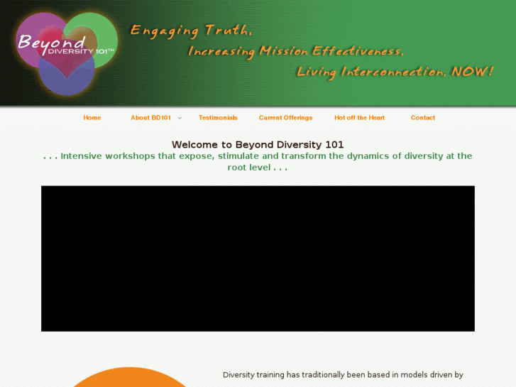 www.beyonddiversity101.org