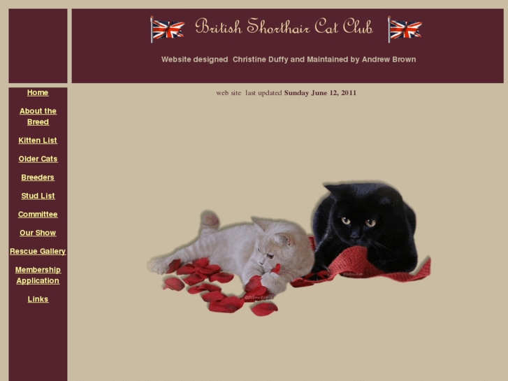 www.britishshorthaircatclub.co.uk