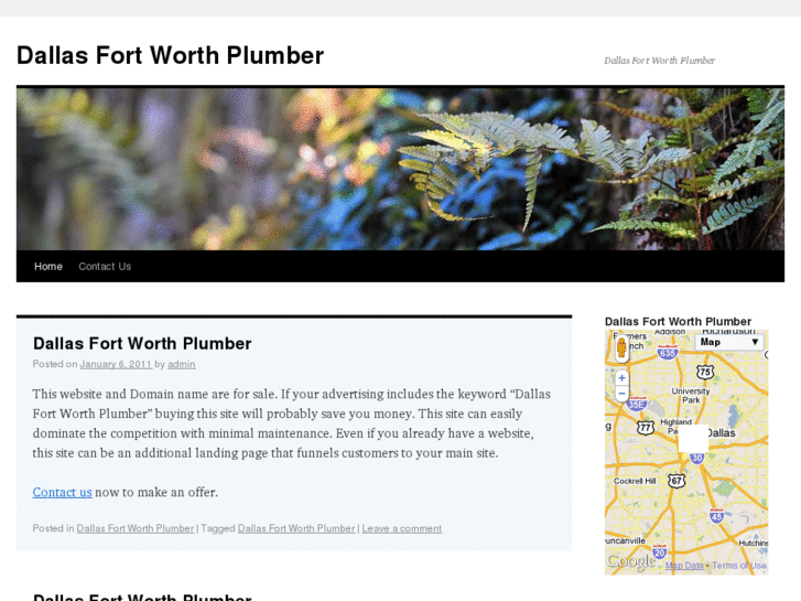 www.dallasfortworthplumber.com