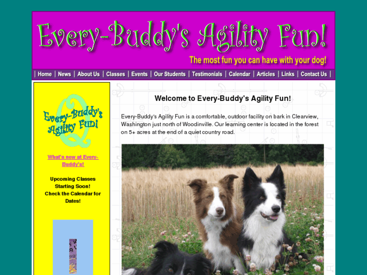 www.everybuddysagility.com