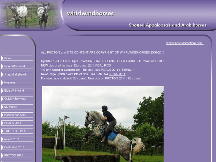 www.whirlwindhorses.co.uk