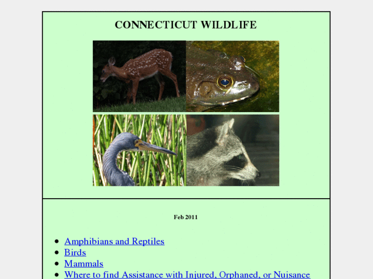 www.wildlifeofct.com