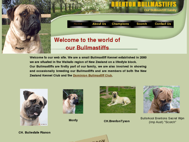 www.brentonbullmastiffs.com