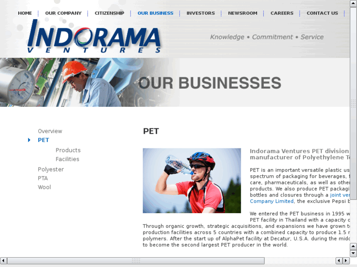 www.indoramapolymers.com