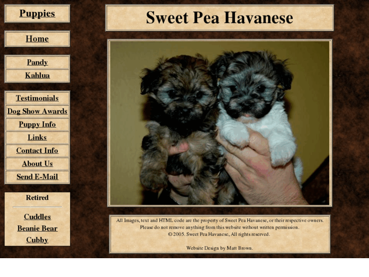 www.sweetpeahavanese.com