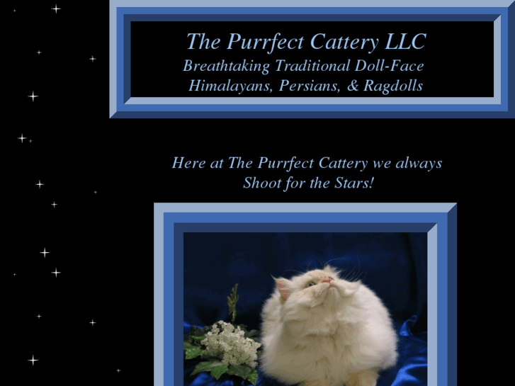 www.thepurrfectcattery.com