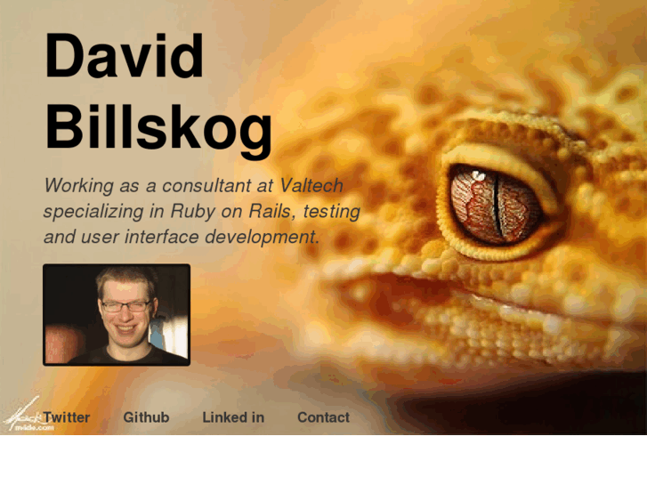 www.davidbillskog.com