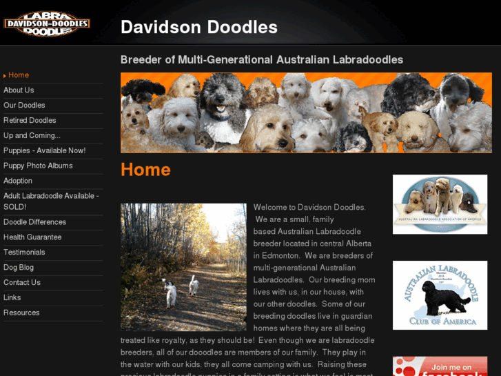 www.davidsondoodles.com