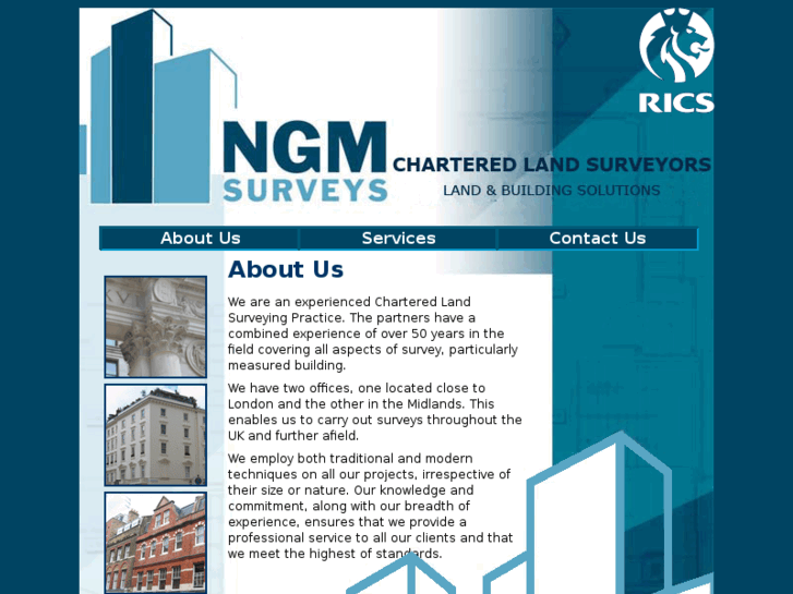 www.ngmsurveys.com