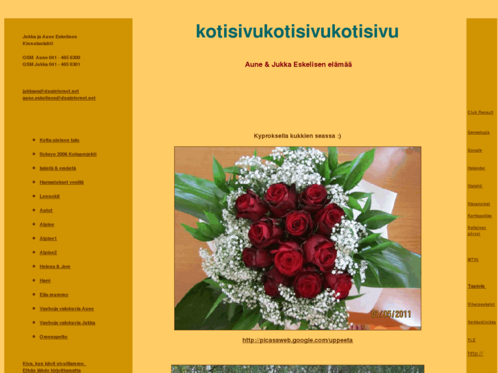 www.sinikiviset.com