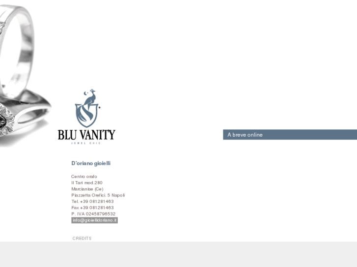 www.bluvanity.com