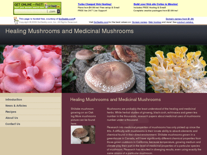 www.healingmushrooms.com