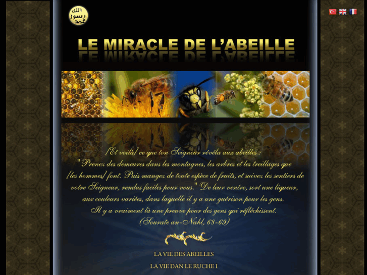 www.lemiracledelabeille.com