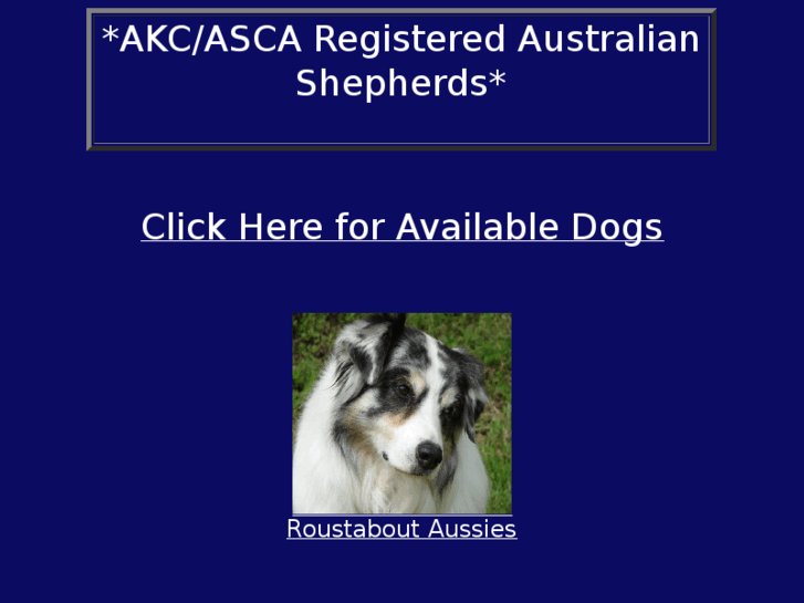 www.roustaboutaussies.com