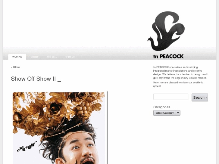 www.tnpeacock.com