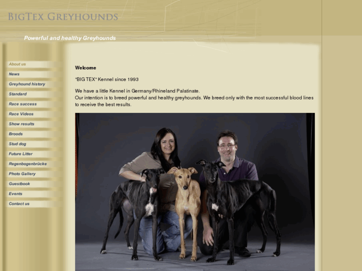www.bigtex-greyhounds.com