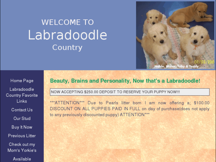 www.labradoodlecountry.com