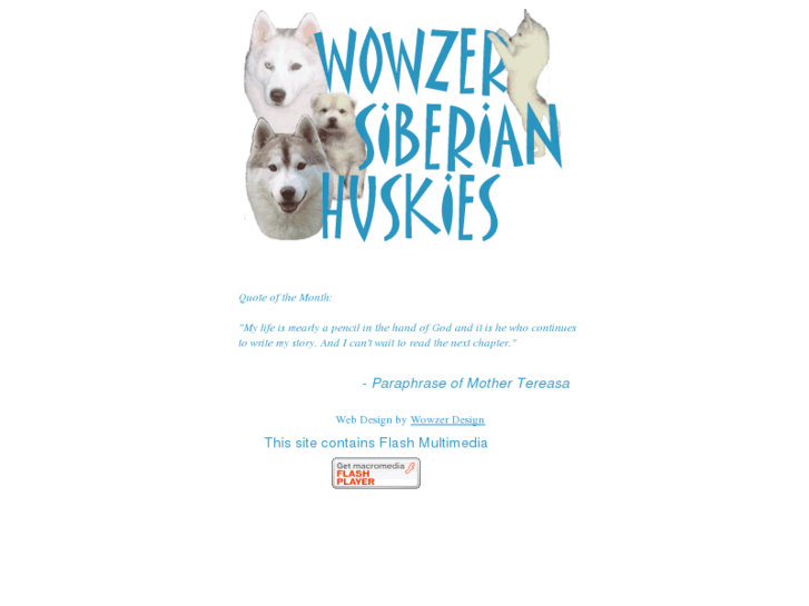 www.wowzersiberians.com