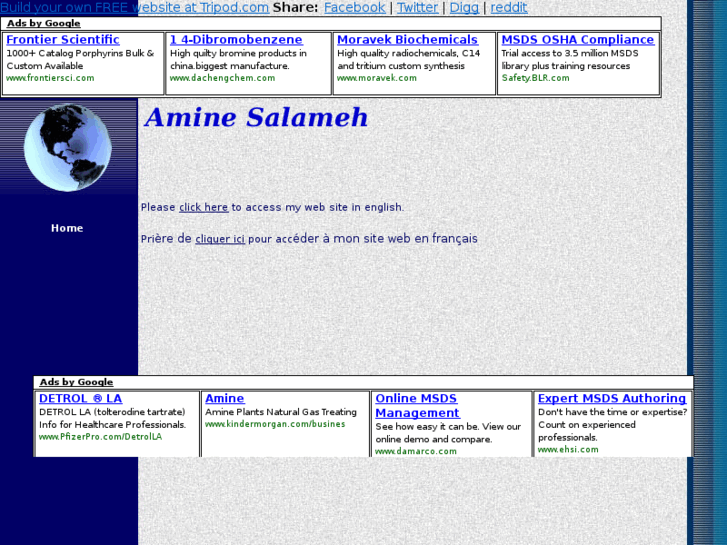 www.amine-e-salameh.com