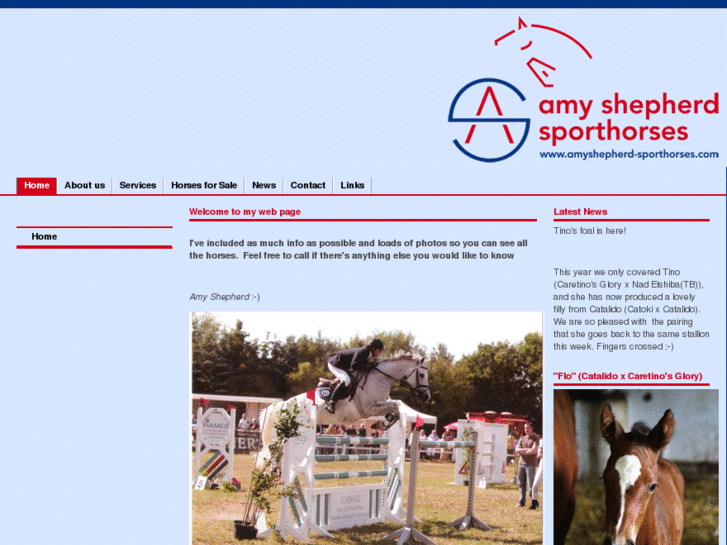 www.amyshepherd-sporthorses.com