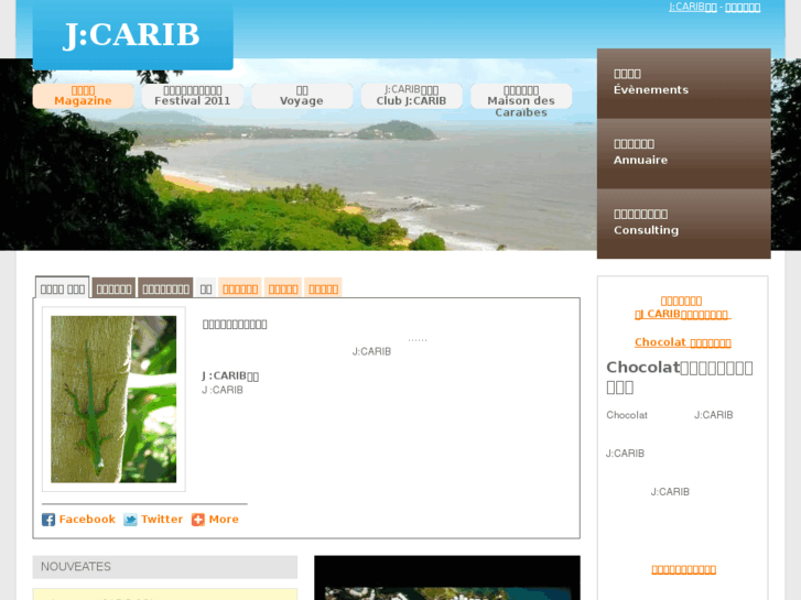 www.jcarib.com