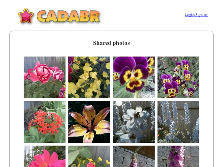 www.cadabr.com