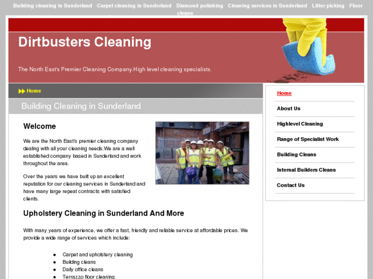 www.dirtbustercleaning.com