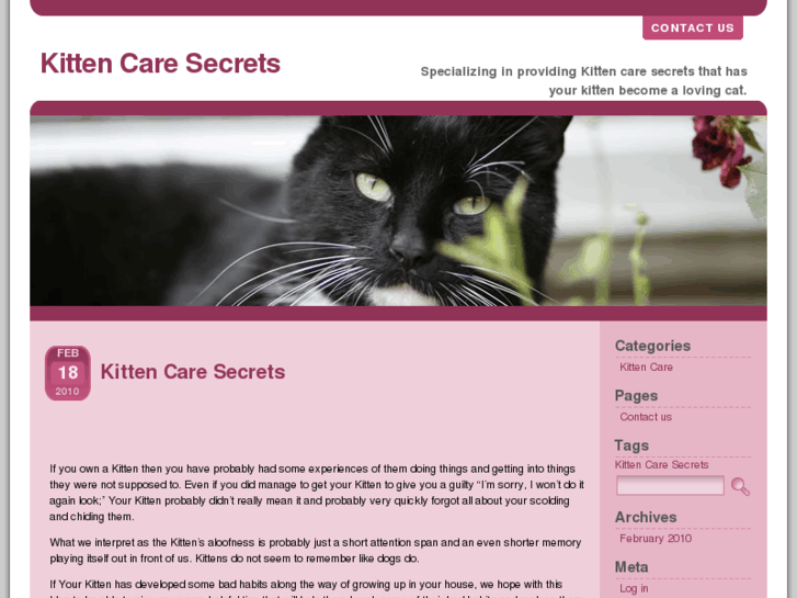 www.kittencaresecret.com