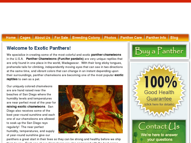 www.panther-chameleons.com