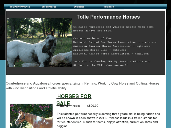 www.tolleperformancehorses.com