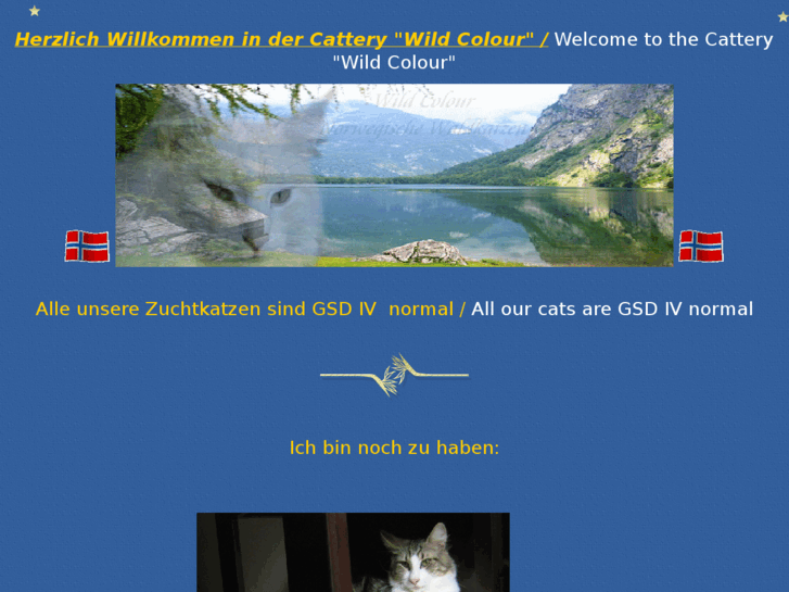 www.wildcolour.de