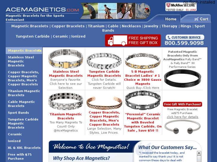 www.acemagnetics.com