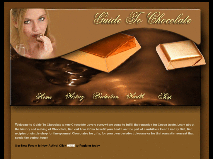 www.guidetochocolate.com