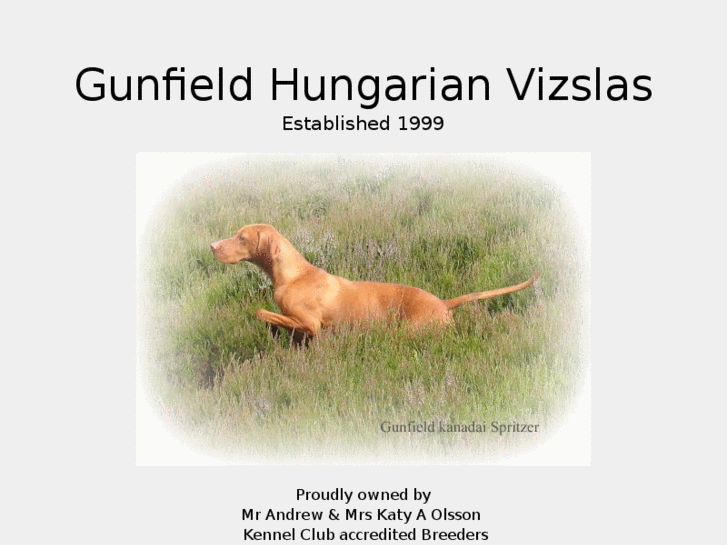 www.hungarianvizsla.org.uk