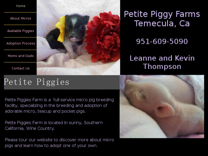 www.petitepiggies.com