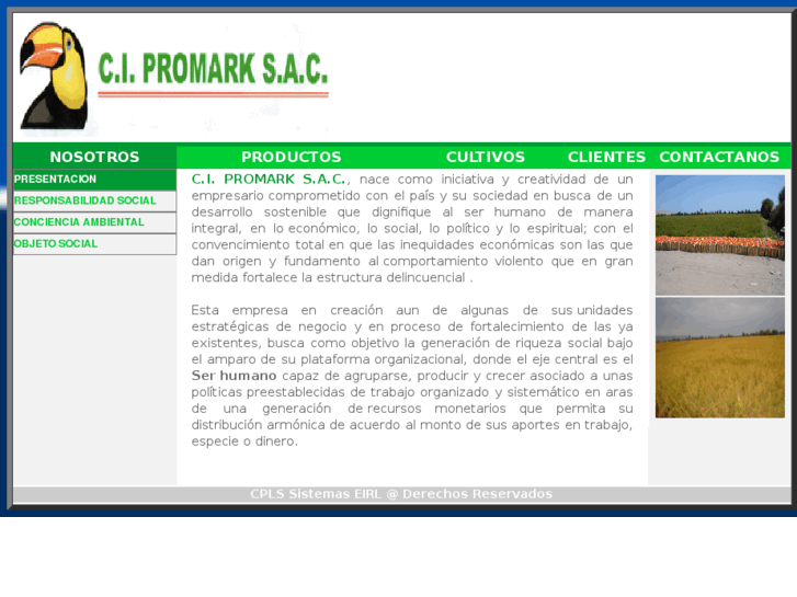 www.promarksac.com