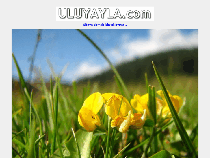 www.uluyayla.com