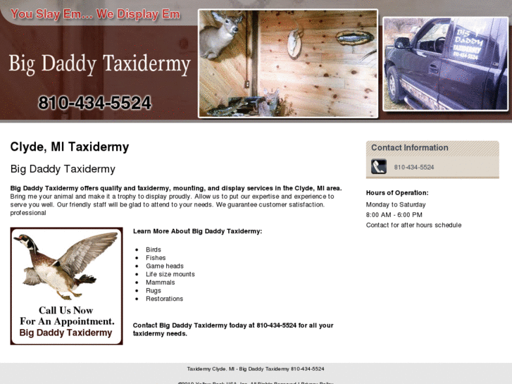 www.bigdaddytaxidermy.com